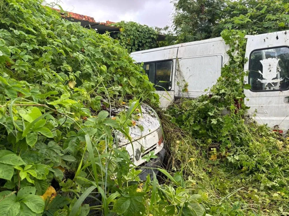Prefeitura de Teresina cumpre ordem judicial e recupera veículos do sistema de transporte eficiente retidos por uma empresa do consórcio. 