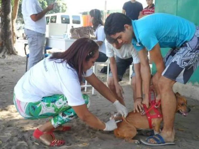 Em Teresina, Vacinação contra a raiva na zona rural começa neste sábado (18).
