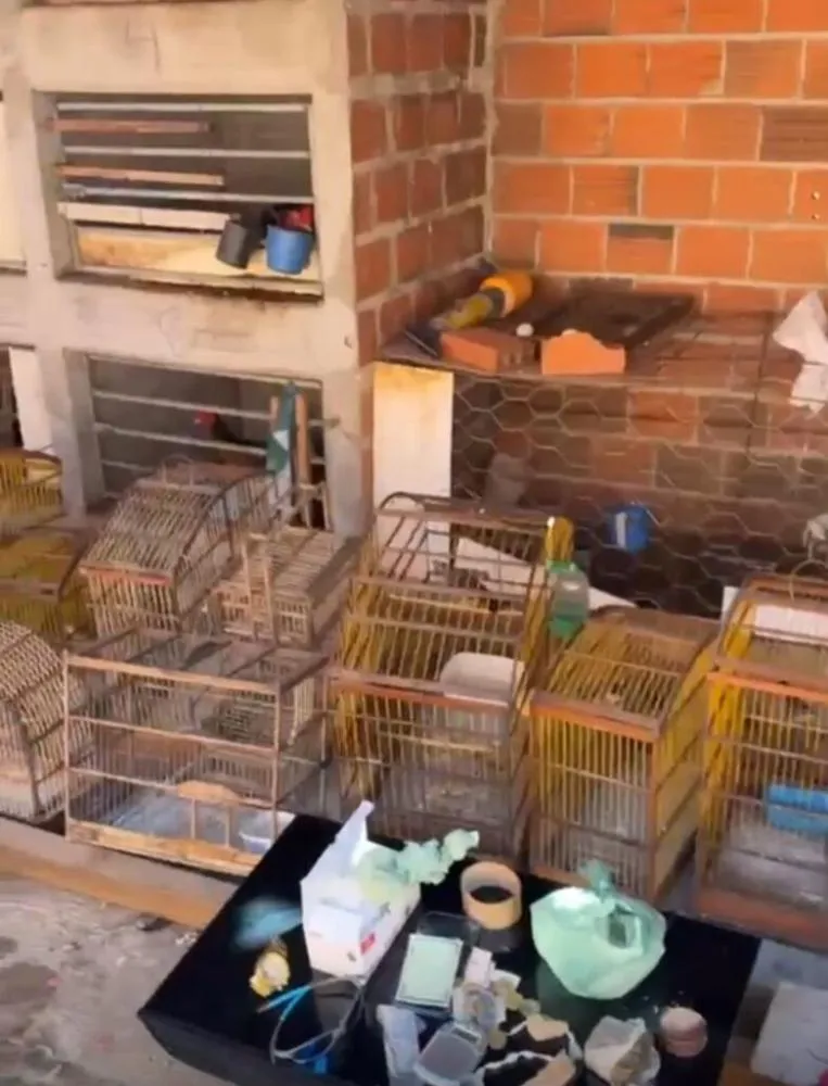 Duas pessoas são presas por tráfico de drogas e maus-tratos a animais em Regeneração.