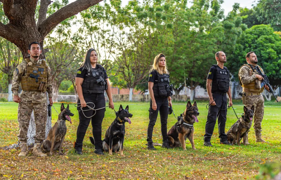 Teresina sedia curso nacional de buscas com cães farejadores para localizar desaparecidos na segunda (18).