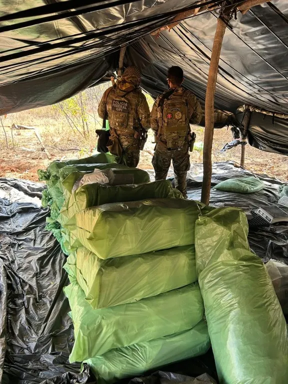 PF prende oito suspeitos durante erradicação de maconha no Piauí.