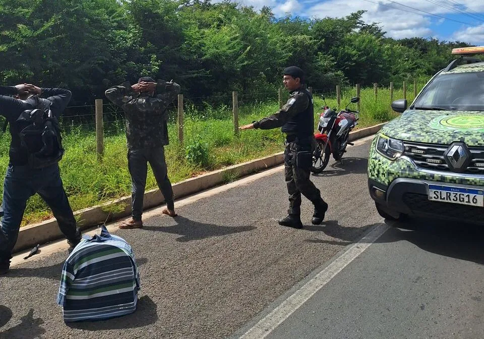 Polícia Ambiental apreende aves silvestres em operação na zona sudeste de Teresina.
