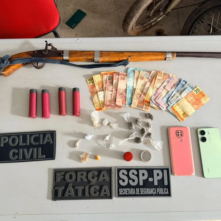 Polícia do Piauí realiza operação de combate ao crime em Jardim do Mulato.