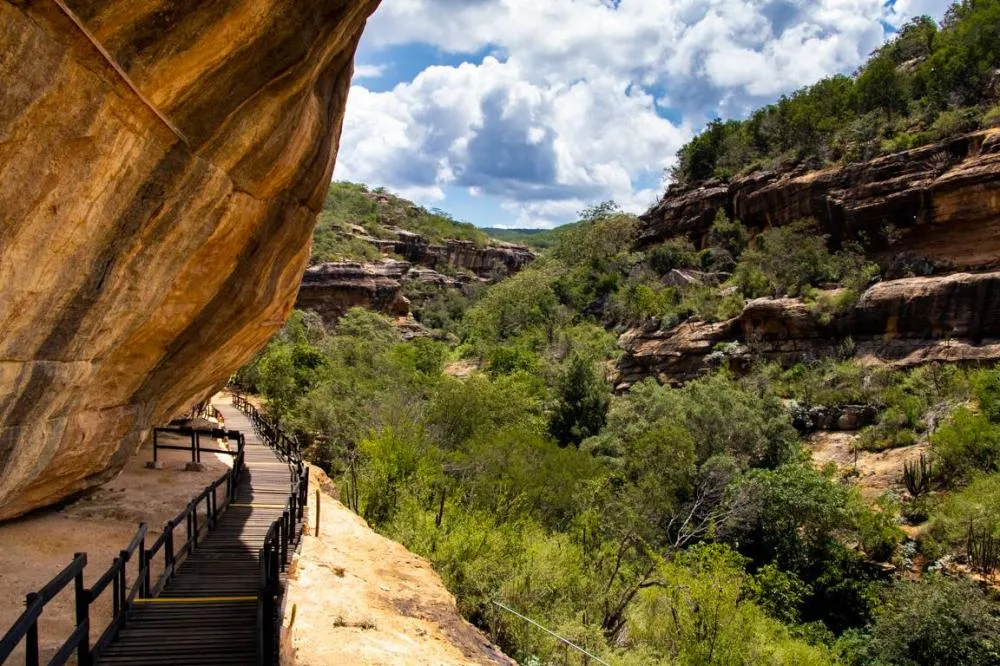 Parque Nacional Serra da Capivara comera 47 anos como patrimônio histórico e ambiental do Brasil e do mundo.